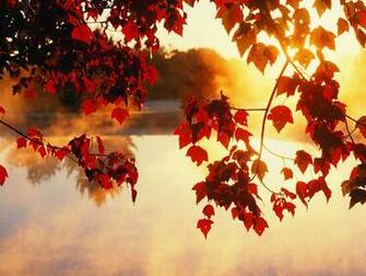 Autumn Wallpaper