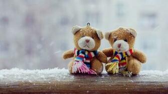 Teddy Bear Couple Beautiful Looks HD Wallpaper Rocks