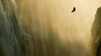 Apple Mac Os X Lion Wallpaper HD Desktop Eagle