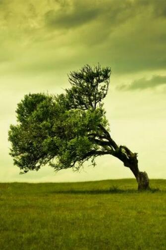 Best iPhone HD Wallpaper Collection Creative Fan