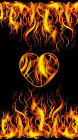 Sueli Sousa On Tatuagem Fenix Heart Wallpaper Love