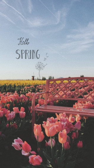 Spring Aesthetic Wallpaper