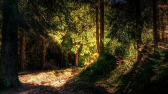 Full HD Nature Wallpaper Imgstocks