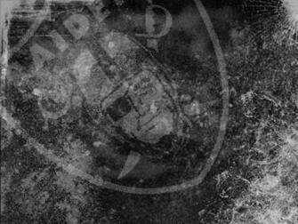 Goodies Raiders Wallpaper Screen Savers Ringtones Tunes