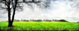 Green Grass Google Wallpaper Grey Sky Background