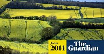 Syngenta WitHDraws Application To Use Banned Pesticide Linked