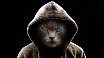 Cat Art Wallpaper