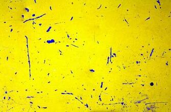 Yellow Abstract Texture Background For Powerpoint And