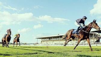 Horse Racing Race Equestrian Sport Jockey Horses Wallpaper