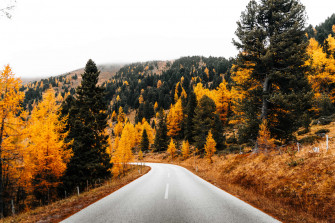 Early Fall Wallpaper