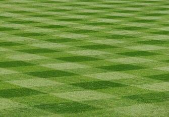 Baseball Field Background