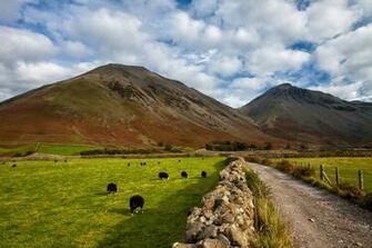 Cumbria England 4k Wallpaper Meadows National Park Goats