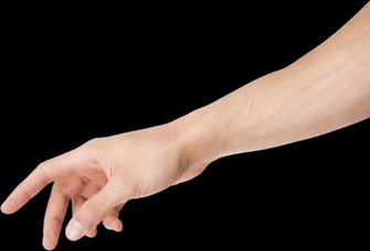 Arm Clipart Transparent Background