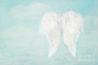White Angel Wings Background On Blue Sky