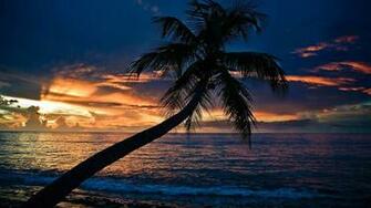 Qid733 Summer Night Wallpaper Pictures In