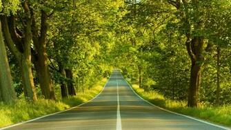 Beautiful Summer Scenery High Quality Wallpaper Desktop