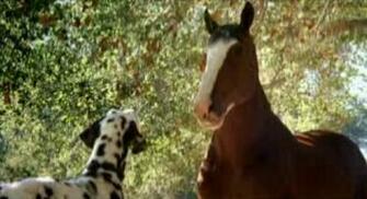 Horse Racing Wallpaper Hot Love