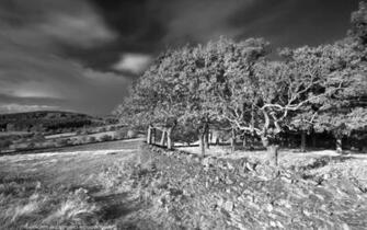 Background Black And White Wallpaper Pixels