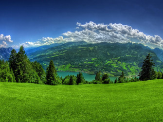 HD Widescreen Wallpaper