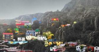 Multi Colored Homes Along Shoreline Of St John S Newfoundland And