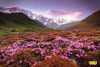 Spring Desktop Wallpaper HD Net
