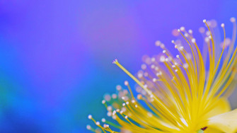 Desktop Wallpaper 4k Spring