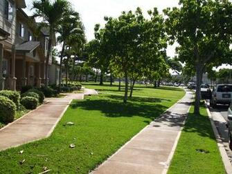 Wonderful Low Maintenance Landscaping Jon Cook For Popular