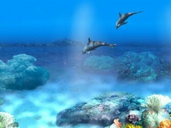 Dolphin Wallpaper Enjoy For Your Computer