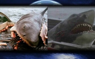 Jaws Wallpaper By Weissdrum