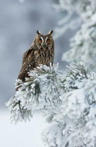 Desktop Background 4u Winter Scenes