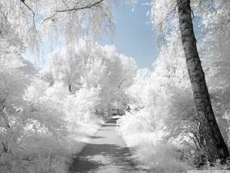 Beautiful Winter Wallpaper For Desktop