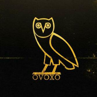 Drake Gold Owl Rap Wallpaper
