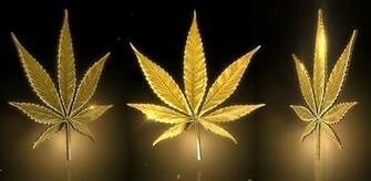 Marijuana Live Wallpaper A Stunning 3d Golden Leaf