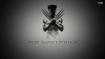 Wolverine Marvel Wallpaper HD