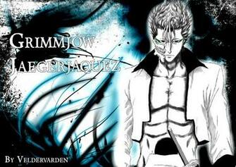 Grimmjow Wallpaper By Veldervarden