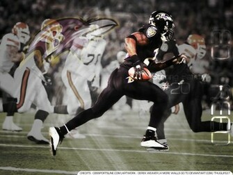 Ed Reed Photo By Amunogingi Photobucket