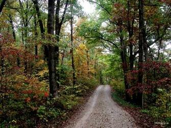 Woods Waters Wallpaper Of The Scenic Ozark Mountains