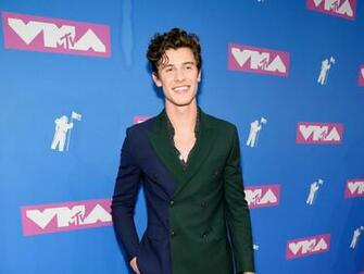 Shawn Mendes S Calvin Klein Underwear Campaign Is Tearing The