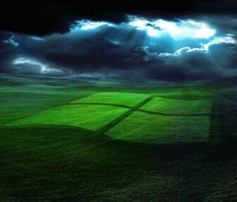 Windows Grass