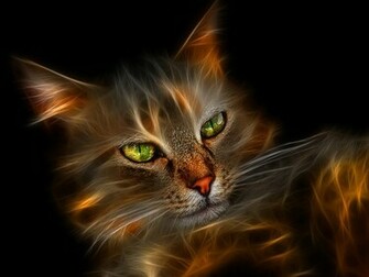 Fiery Cat Google Skins Background