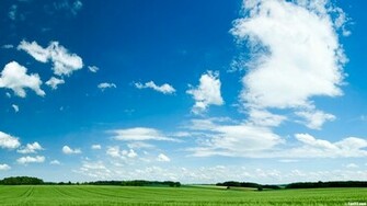 Beautiful HD Background Wallpaper
