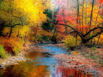 X Autumn Wallpaper