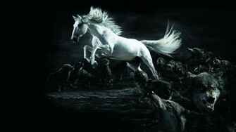 Horse Wolf Wallpaper HD White