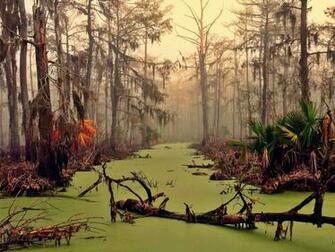 Lousiana Landscape Wallpaper Louisiana
