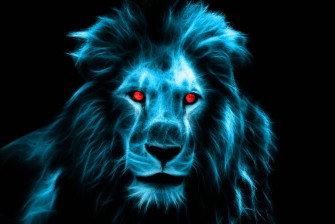 Lion Head Wallpaper