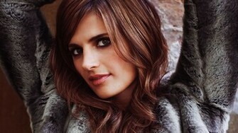 Stana Katic HD Wallpaper High Definition Quality