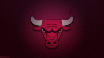 Chicago Bulls Wallpaper Pro Sports Background