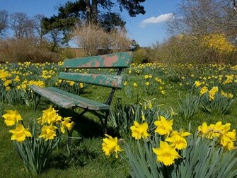 Spring Wallpaper Desktop Which Is Under The