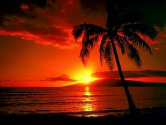 Island Sunset Wallpaper Image Photos Pictures And Background
