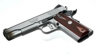 Ruger Blackhawk Wallpaper Sr1911